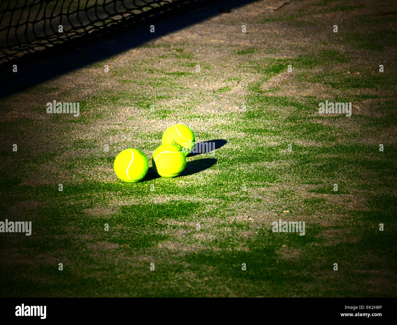 Gericht n Tennisball Hotel Jardin Tecina Playa Santiago Strand La Gomera Insel Kanaren Spanien Stockfoto