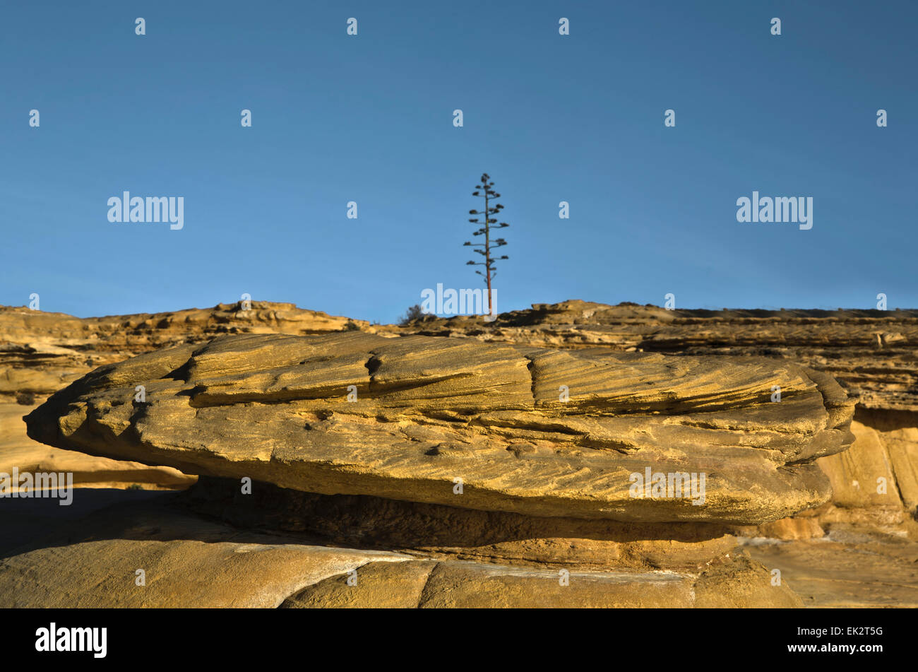 Erodierten Felsen in Lagos Küste, Praia da Luz, Portugal Stockfoto