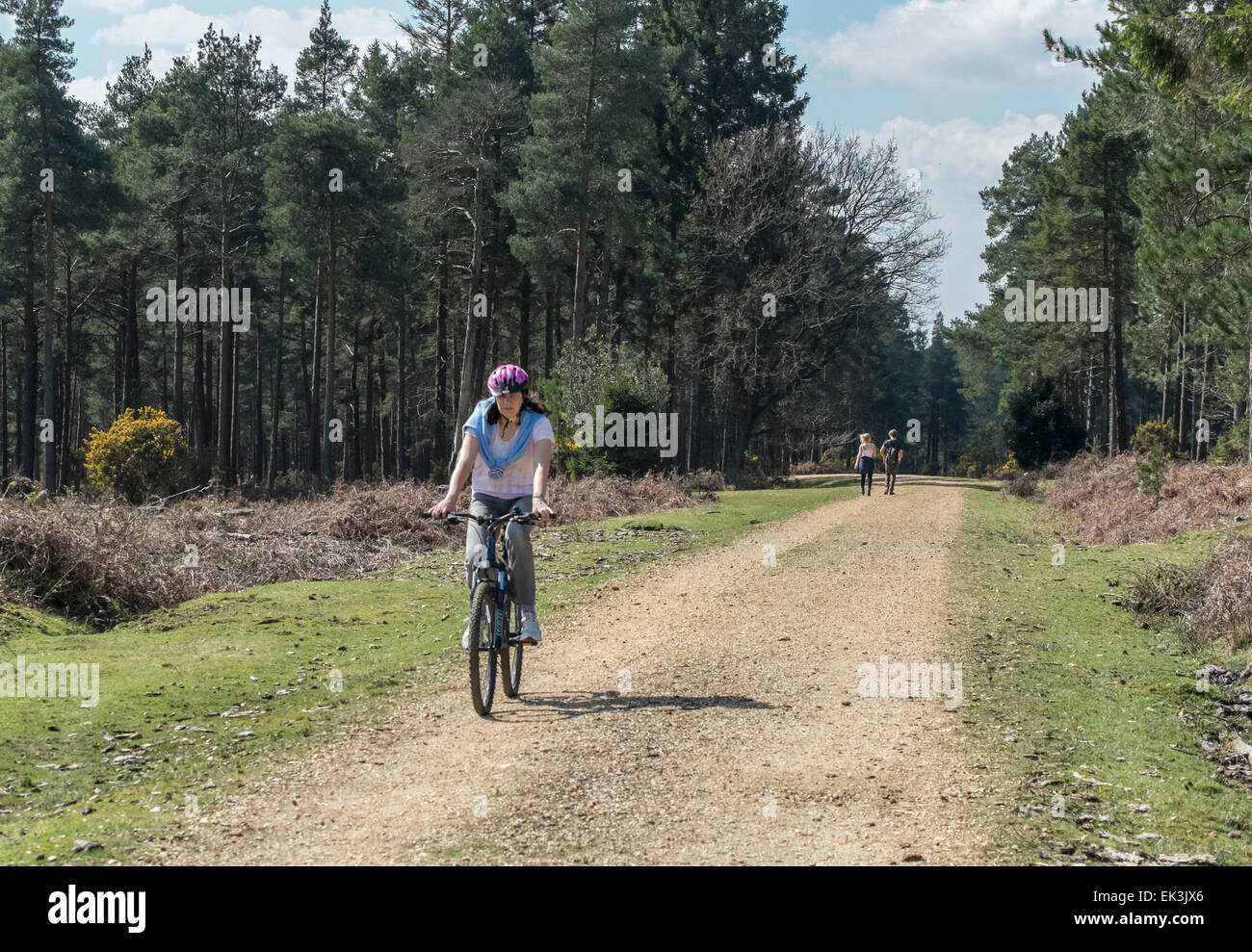 New Forest, Hampshire, UK. 6. April 2015. ein schöner Tag für einen Spaziergang oder mit dem Fahrrad durch die schöne New Forest auf Bank Holiday Montag Kredit: Paul Chambers/Alamy Live News Stockfoto