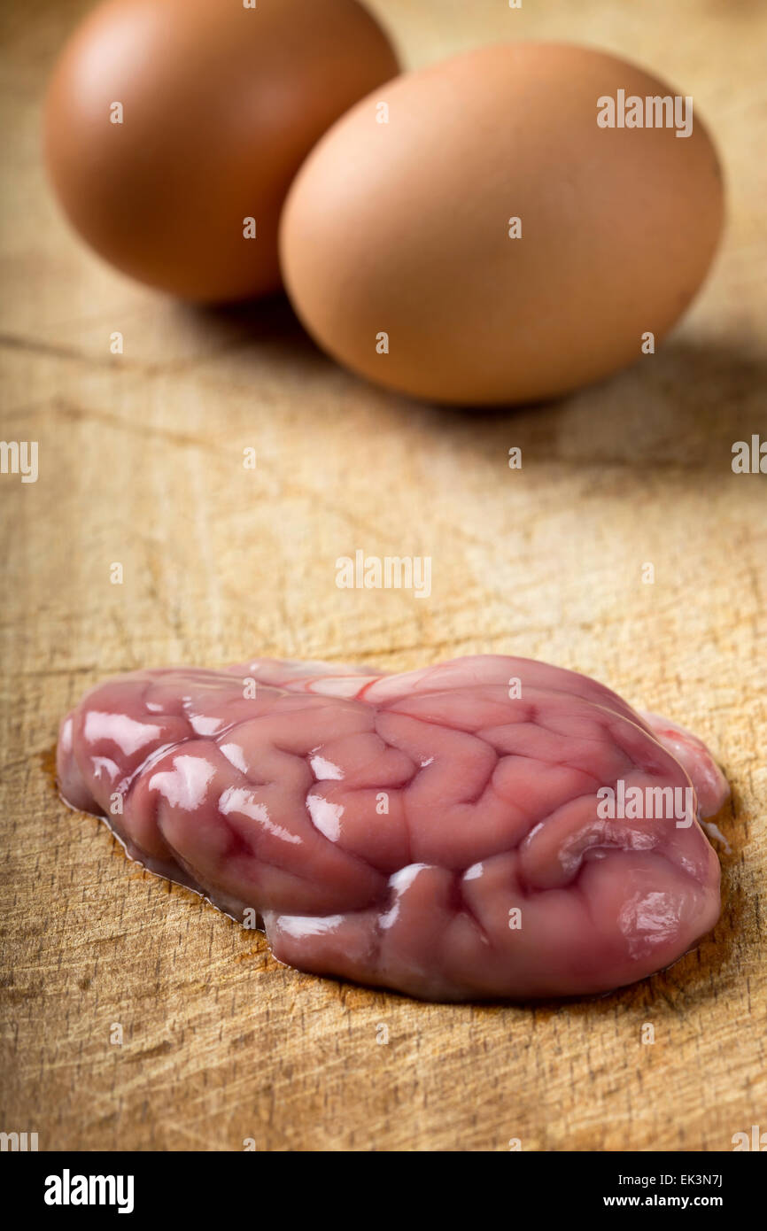 Schweinefleisch-Gehirn über Holz Hintergrund Stockfoto