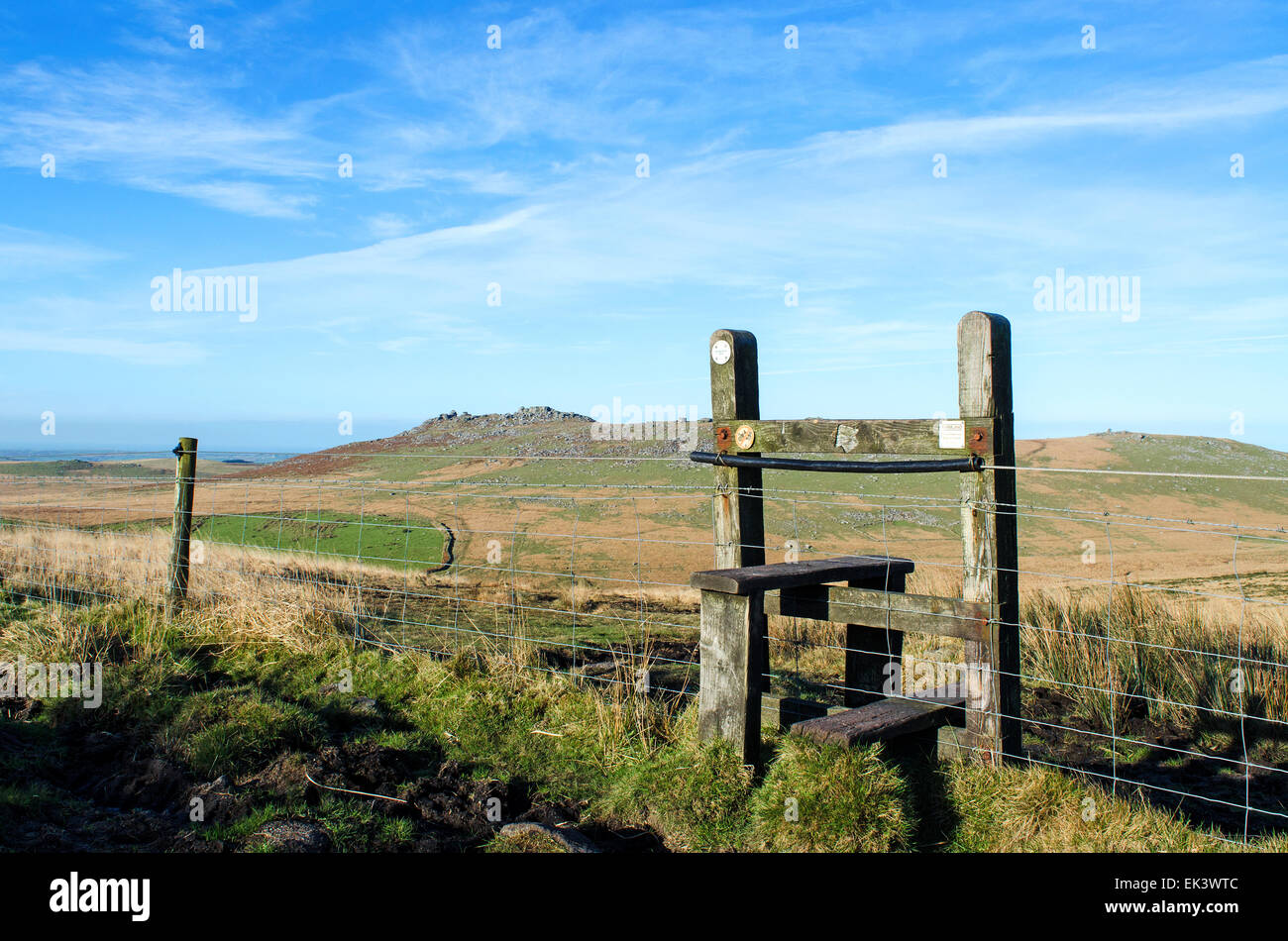 mit Blick auf grobe Tor auf Bodmin Moor in Cornwall, Großbritannien Stockfoto