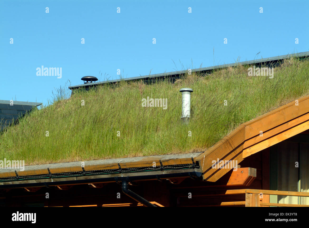 Haus mit grünen Dach gemacht aus Grass im Ökodorf Findhorn Gemeinschaft Schottland Großbritannien Europa Stockfoto