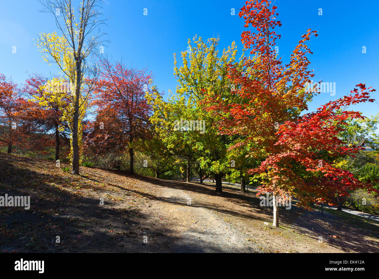 Mt hohen botanischen Garten Adelaide Hills South Australia australischen Landschaft Landschaften Herbst Stockfoto