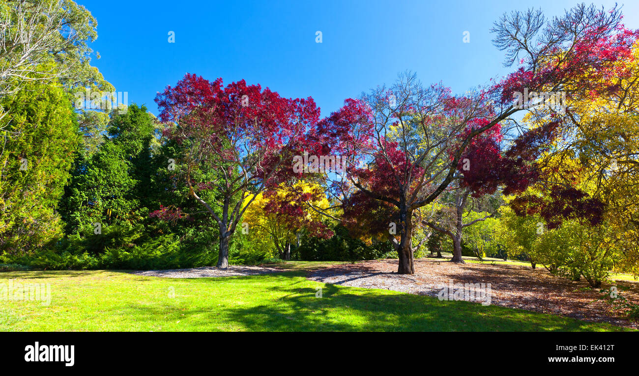 Mt hohen botanischen Garten Adelaide Hills South Australia australischen Landschaft Landschaften Herbst Stockfoto