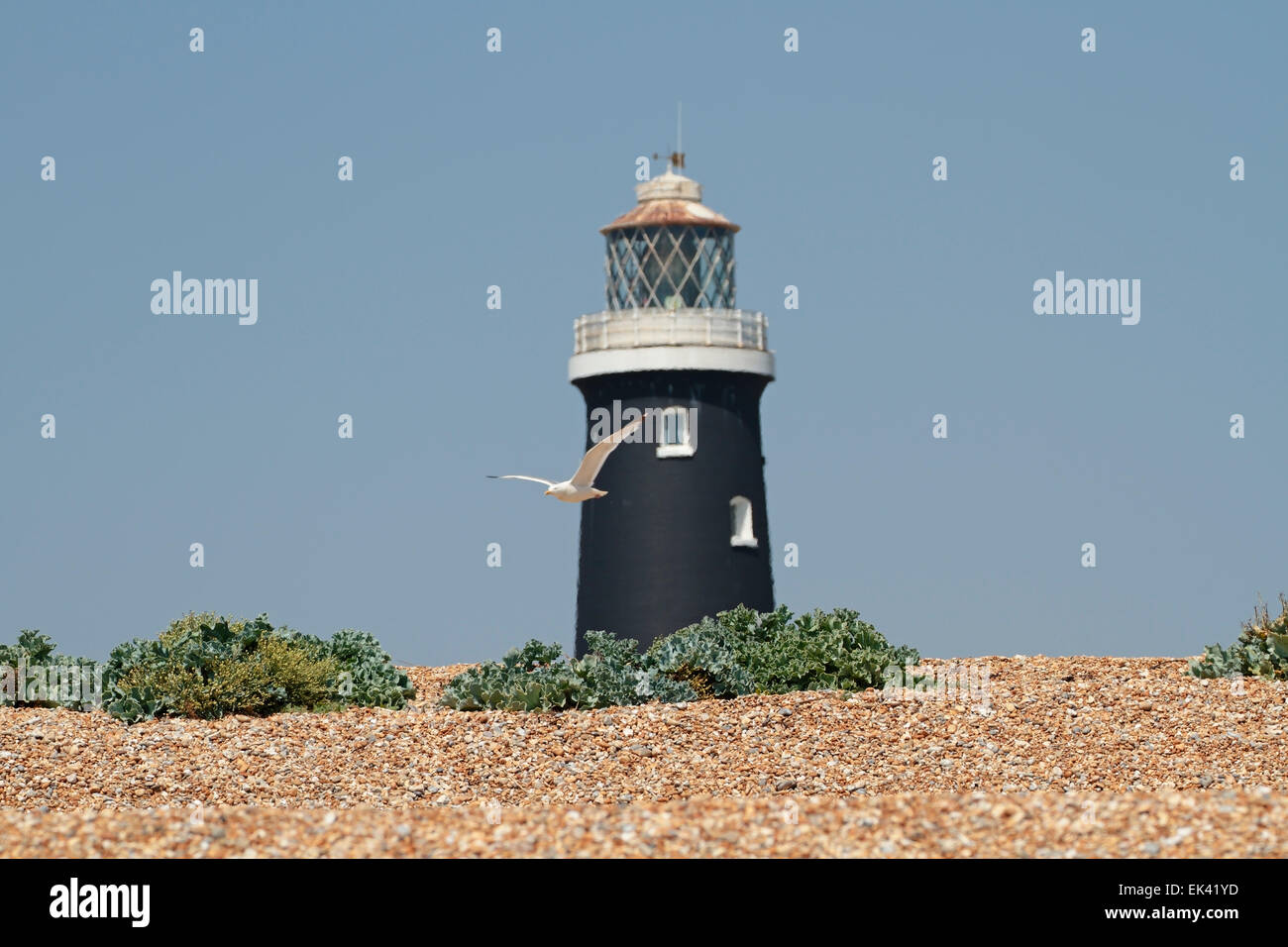 Der alte Leuchtturm Dungeness, Kent, England, Vereinigtes Königreich Stockfoto