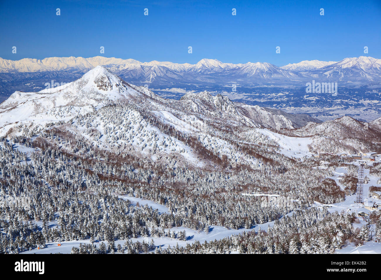 Shiga Kogen Resort im Winter, Nagano, Japan Stockfoto