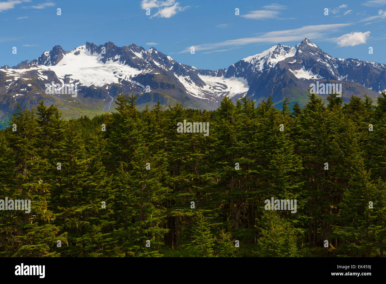 Entlang der verlorenen See-Rundweg, Chugach National Forest, Seward, Alaska. Stockfoto