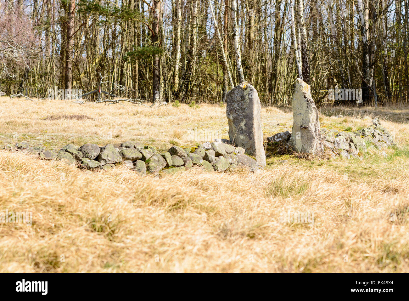 Alte verlassene Cholera Beerdigung Boden in Blekinge, Schweden, aus um 1853-57. Wegen des Risikos einer Kontamination wurden Bestattungen Stockfoto