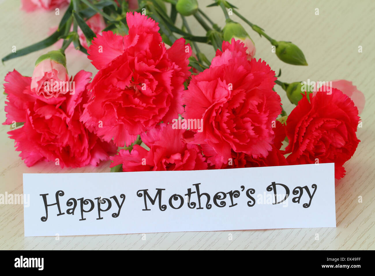 Glückliche Muttertag Anmerkung mit rosa Nelken Stockfoto