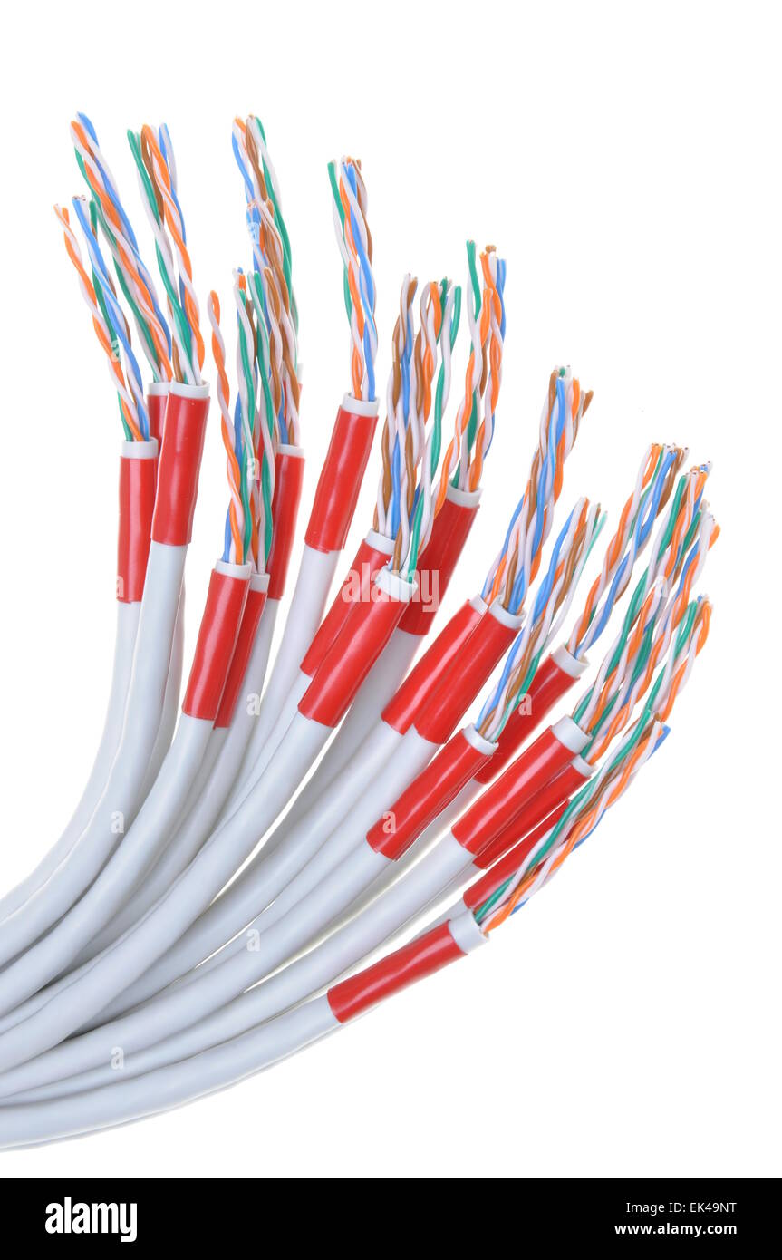 Computer-Netzwerk-Kabel isoliert auf weißem Hintergrund Stockfoto