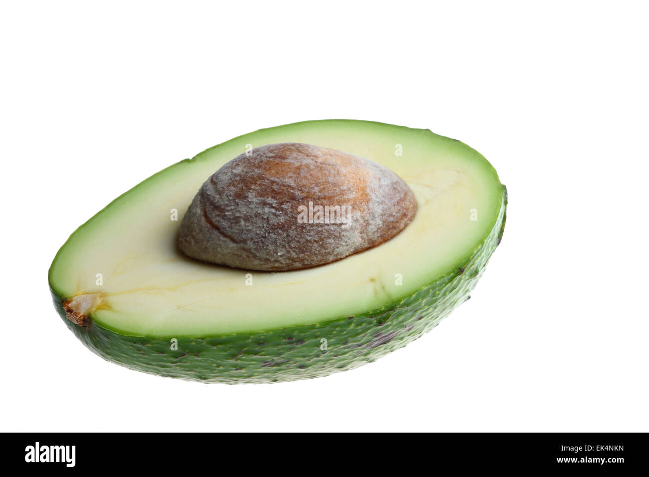 Avocado, Persea americana Stockfoto