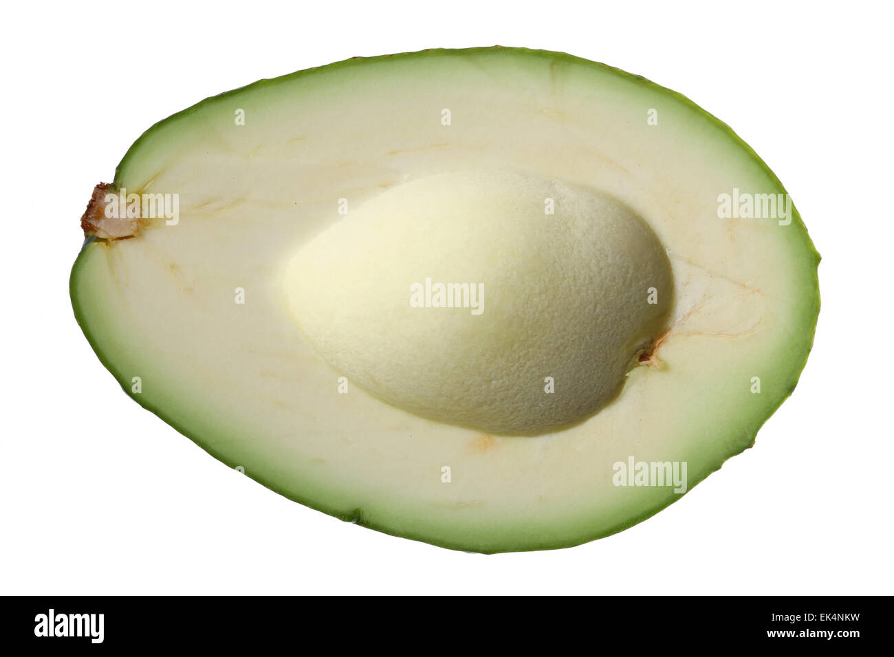 Avocado, Persea americana Stockfoto