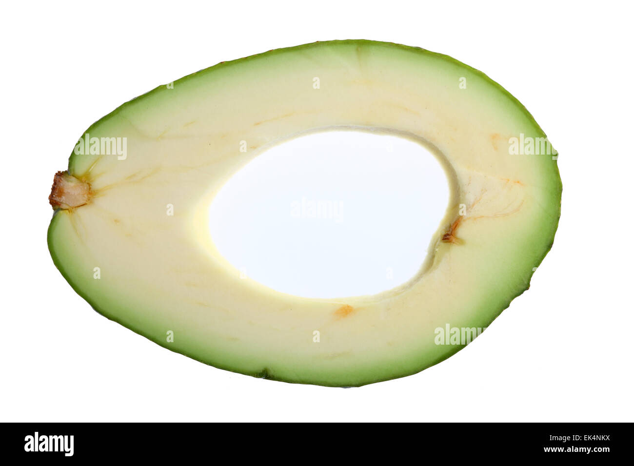 Avocado, Persea americana Stockfoto