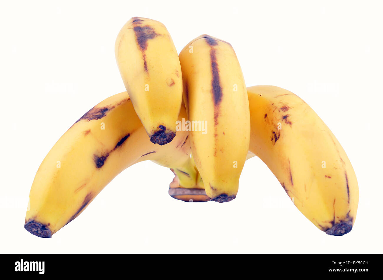 Gesunde Ernährung und eine ausgewogene Lebensweise ist der Schlüssel zum Führen eines fit und gesund leben, es ist wichtig für die körperliche Wellness sowie ein gesunder Geist Stockfoto