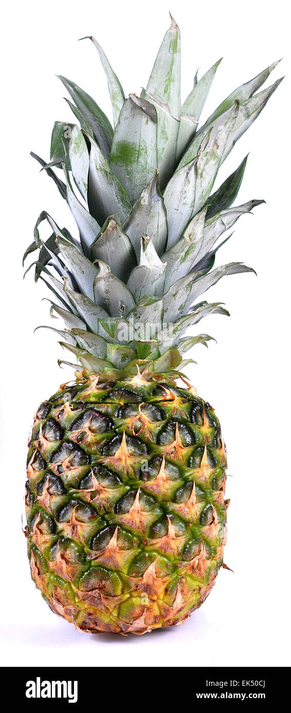 Gesunde Ernährung und eine ausgewogene Lebensweise ist der Schlüssel zum Führen eines fit und gesund leben, es ist wichtig für die körperliche Wellness sowie ein gesunder Geist Stockfoto