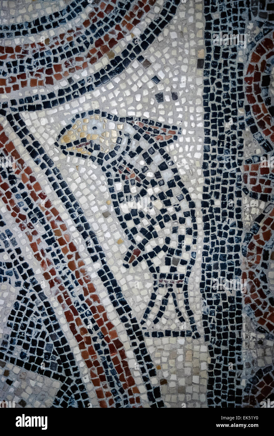 Italien, Molise, Tremiti-Inseln, San Domino Isle St. Mary Fort (1045 A.C.), ursprünglich Mosaiken - FILM Scannen Stockfoto