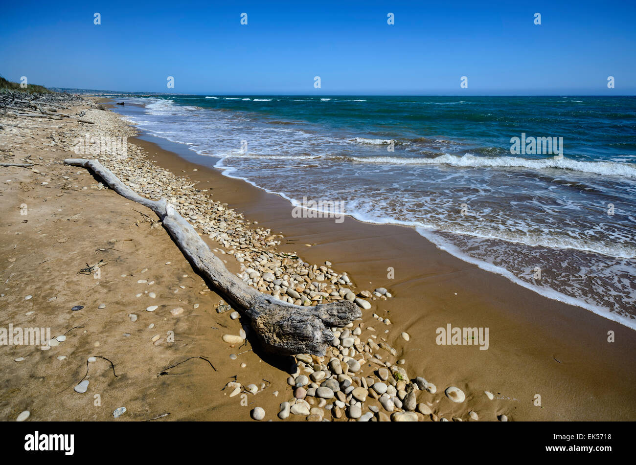 Italien, Sizilien, Provinz Ragusa, Südost-Küste, Mittelmeer, Bolus an Land getragen von den Wellen des Meeres Stockfoto