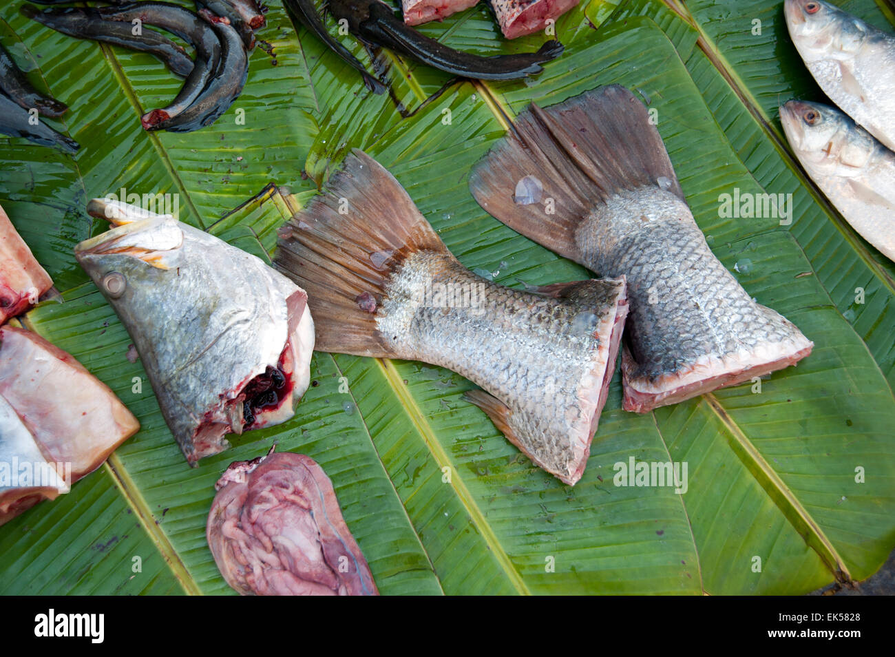 In der Nähe, Fischkopf, Fischen Schwänzen und Fische Eingeweide auf einem grünen Bananenblatt in einen Lebensmittelmarkt Yangon Myanmar Stockfoto
