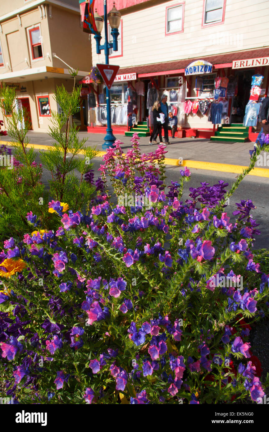 Die Innenstadt von Juneau, Alaska. Stockfoto