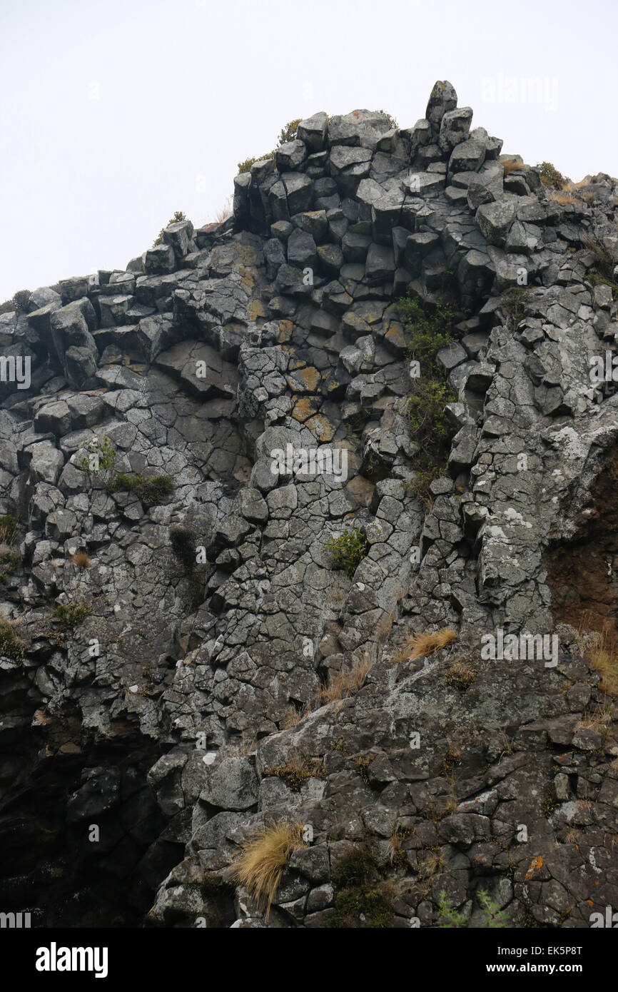 säulenförmigen Basalt der Pyramiden Lava Rock formationen Otago Peninsula Dunedin Neuseeland Südinsel erosion Stockfoto