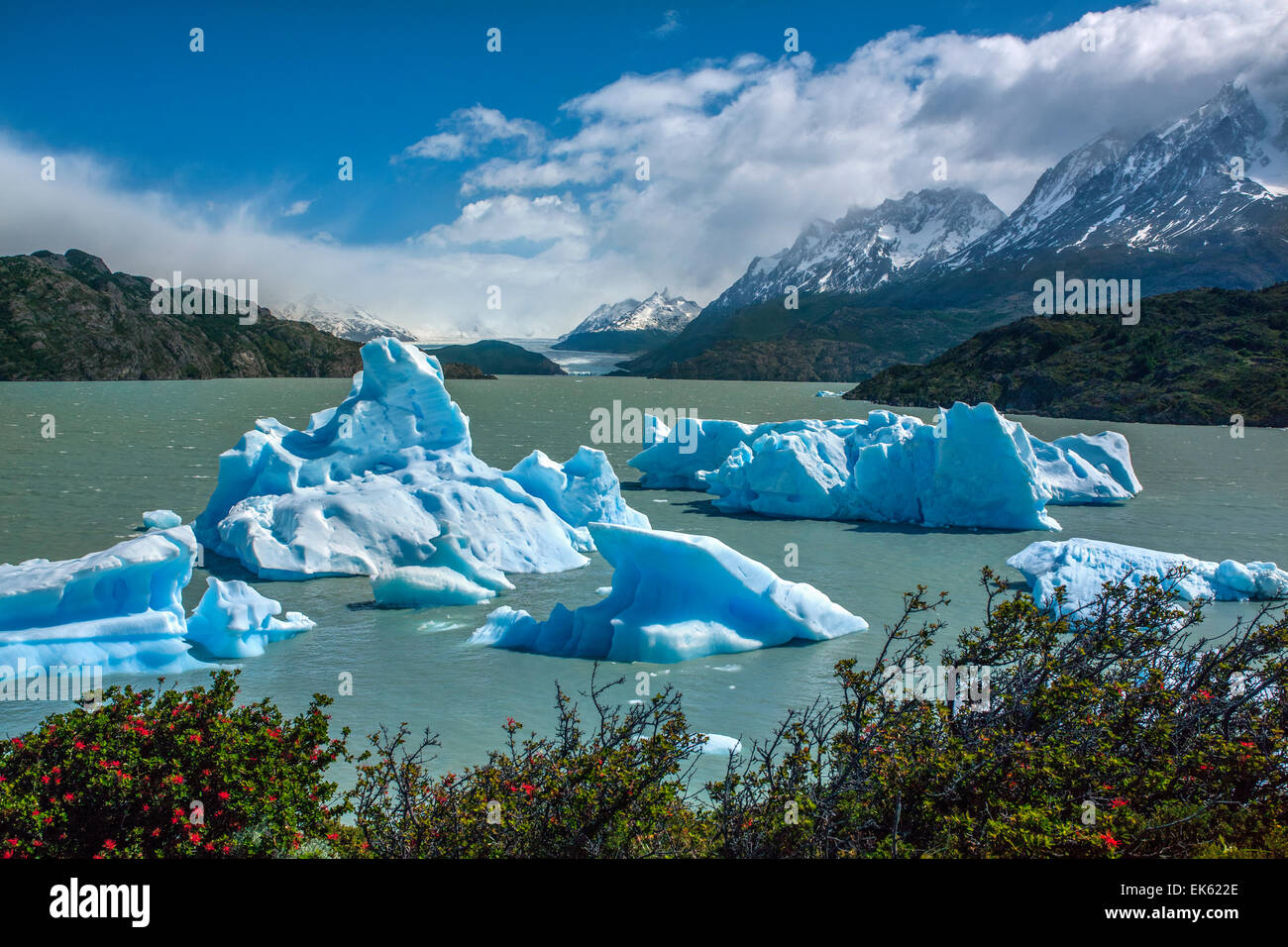 Eisberge von der Grey-Gletscher (in der Ferne) in Lago Grey in der südlichen patagonischen Eisfeld im Torres del Paine Natio Stockfoto