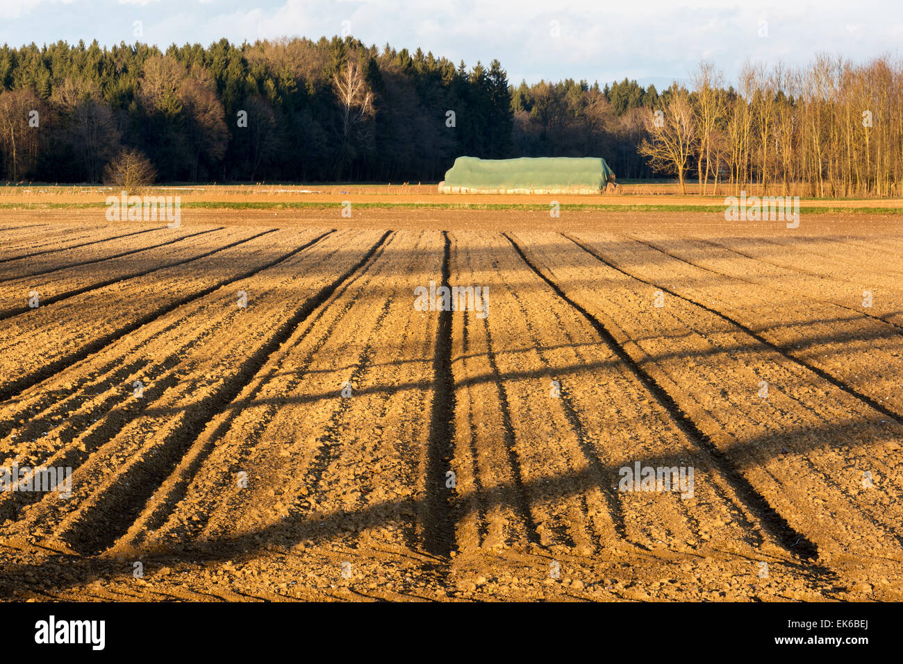 zeitigen Frühjahr Feld Furchen Feld Aussaat magischer neue Anfang braune Erde Bayern Europa Deutschland Bauern Bauernhof Landwirtschaft Patt Stockfoto