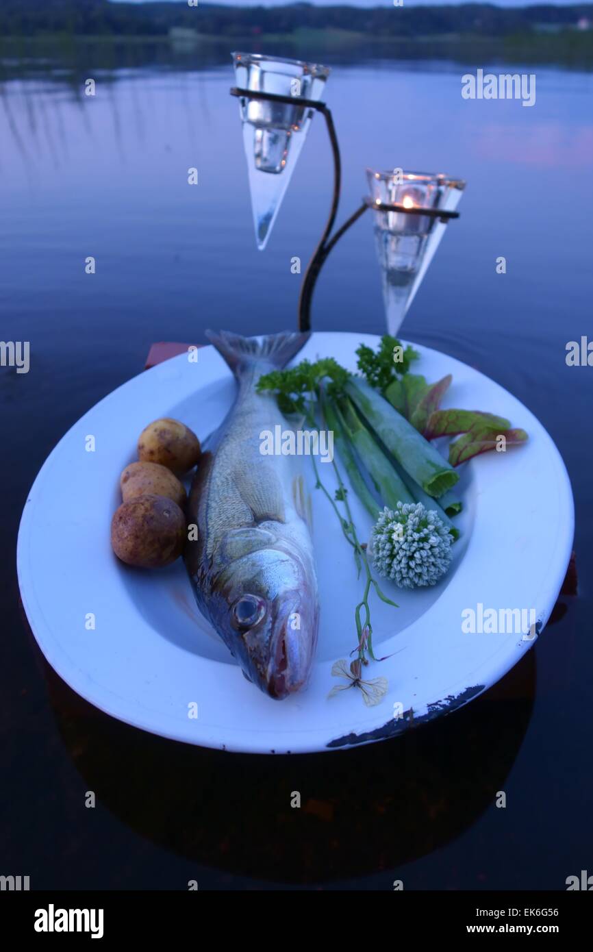 Frische Fische fangen auf einem Teller mit Gemüse über Wasser am See in Sommerabend in Finnland. Stockfoto