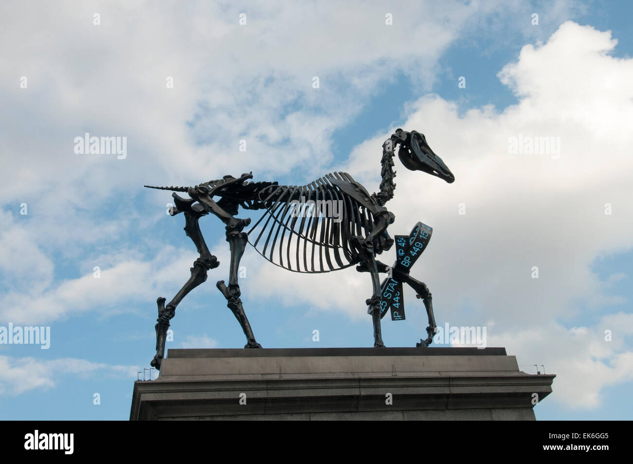 Fourth Plinth Skulptur, geschenkten Gaul von Hans Haacke auf dem Trafalgar Square Stockfoto