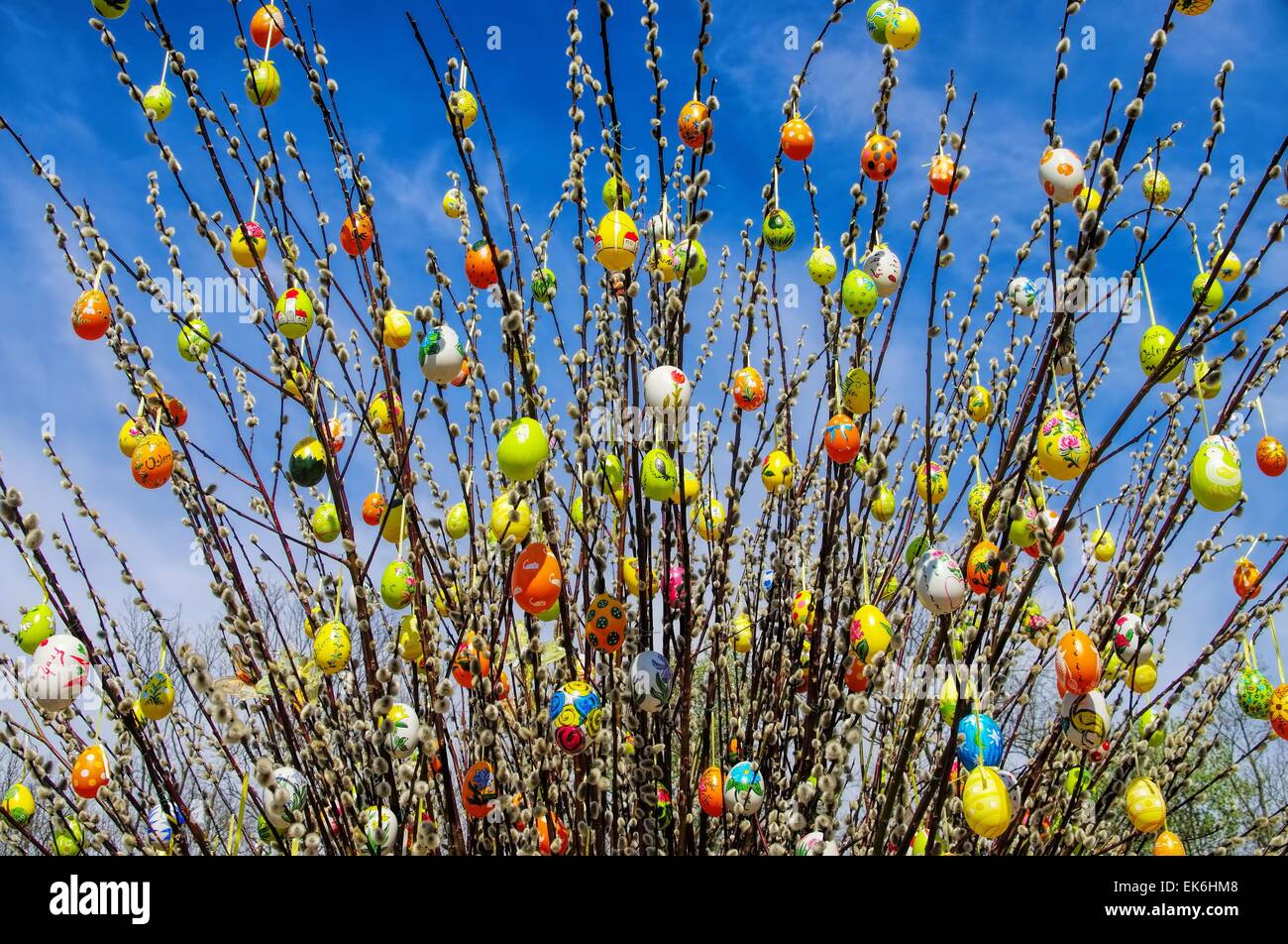 Osterstrauch Weide - Ostern-Strauch-Weide 01 Stockfoto