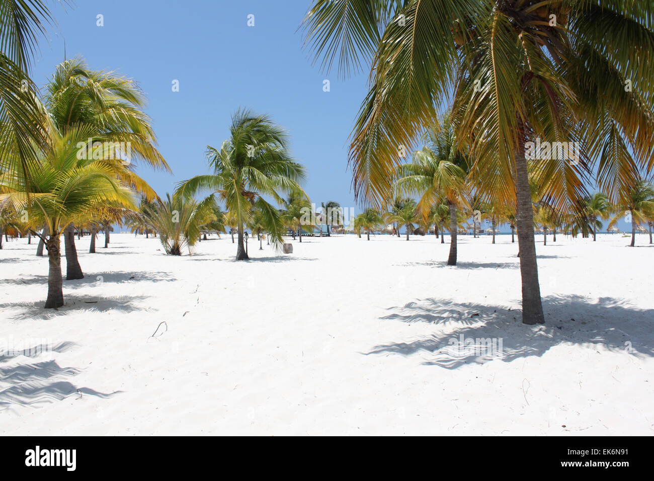 Strand an der Karibik, Kuba, Cayo Largo, Mittag Stockfoto