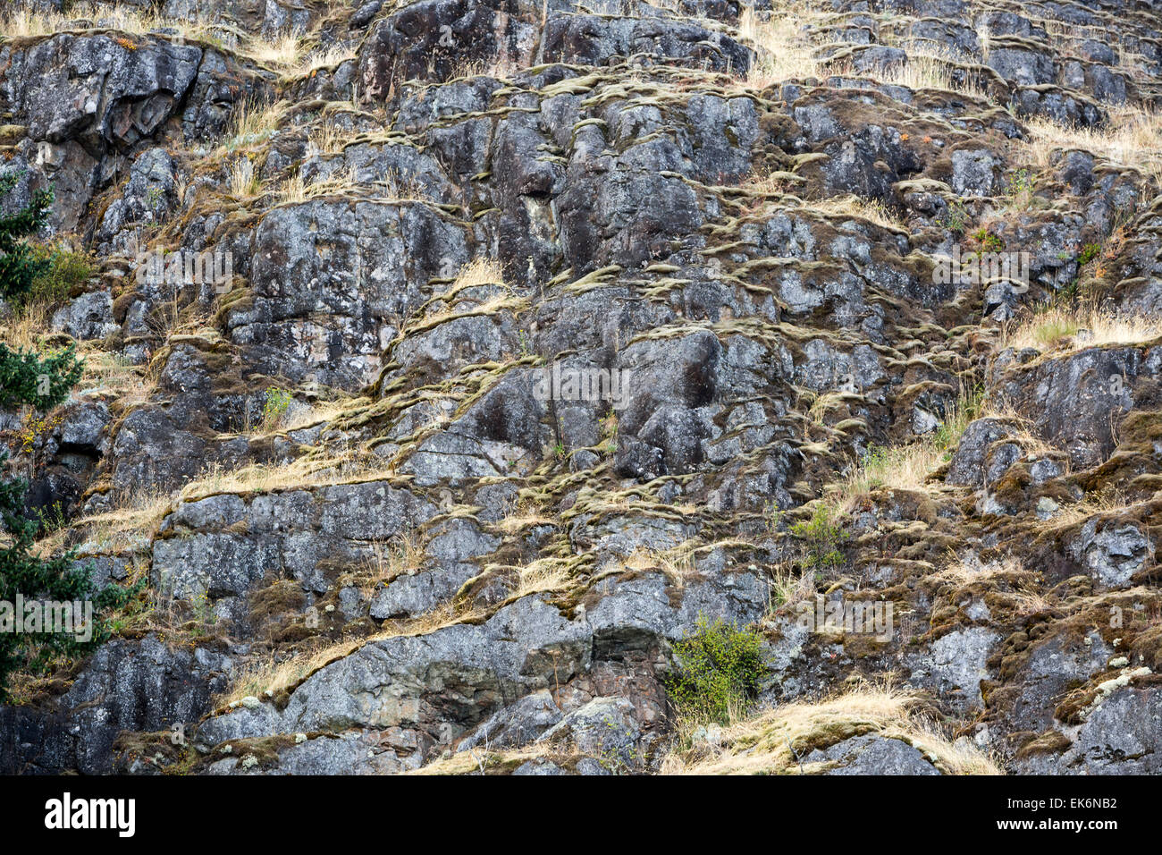 Rock-Quadra Island, Britisch-Kolumbien, Kanada, Nordamerika Stockfoto