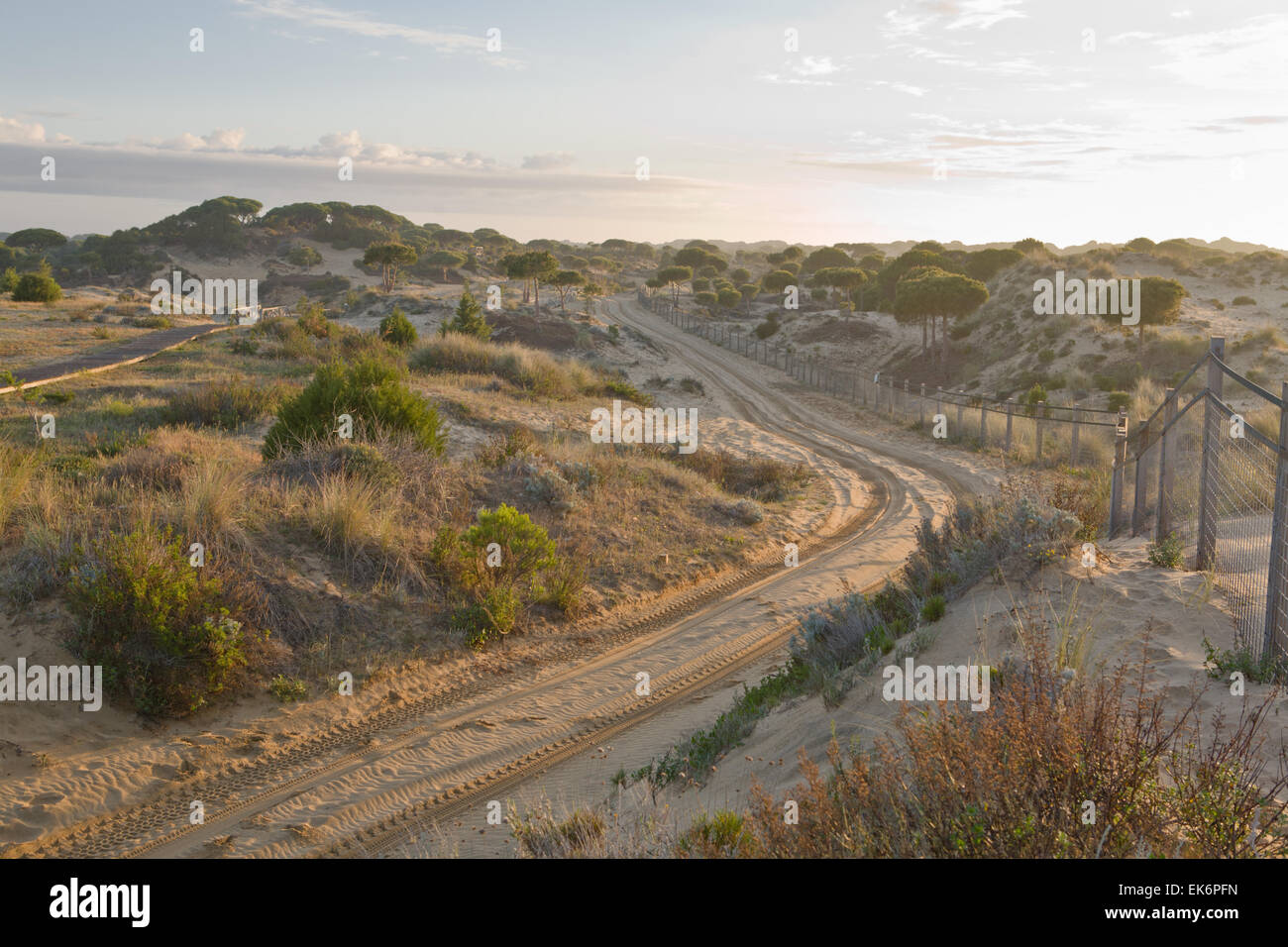 Donana Nationalpark befindet sich in Andalusien. Bereich der Sumpf, seichten Bächen und Sanddünen im Las Marismas, der Guadalquivir Rive Stockfoto