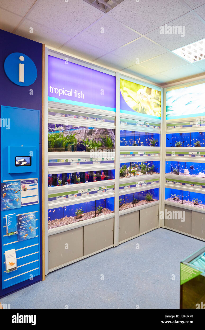 Haustiere zu Hause Schalen zeigt innen shop Stockfoto