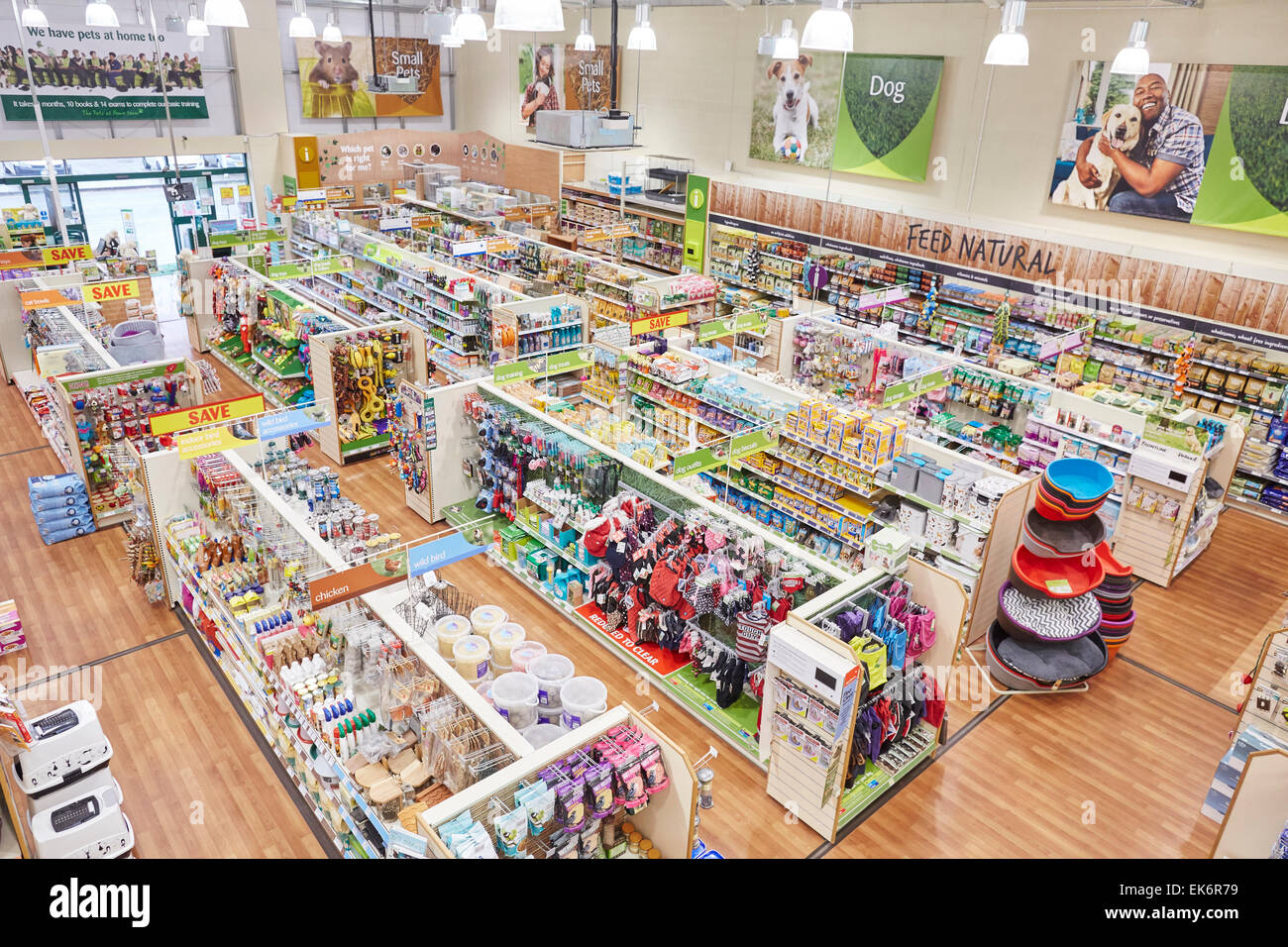 Haustiere in Wohngebäude Ladenfläche Stockfoto