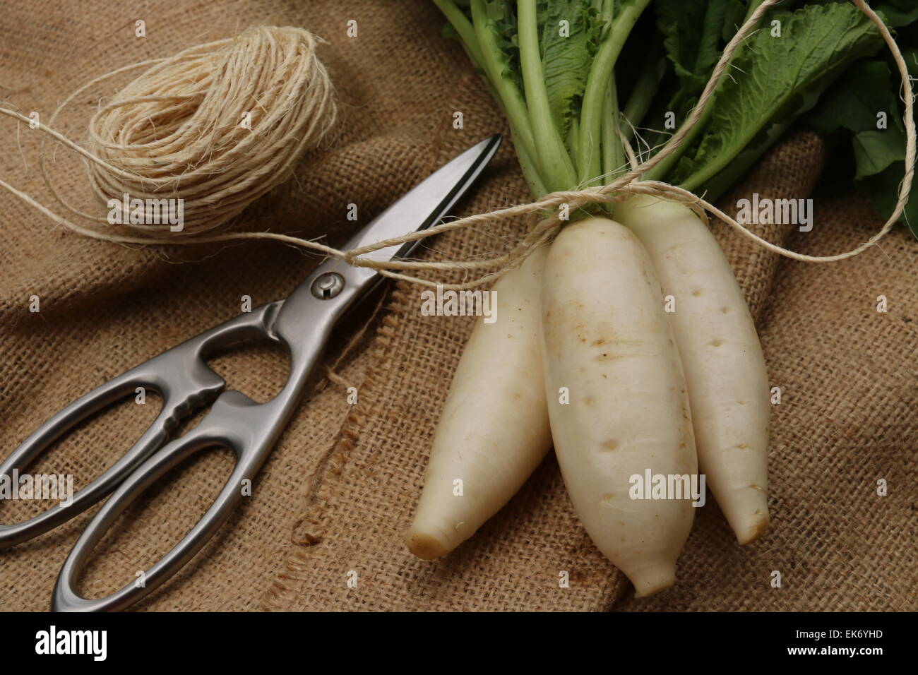 Drei Baby weiße Radieschen legte flach auf einem Sackleinen Stockfoto