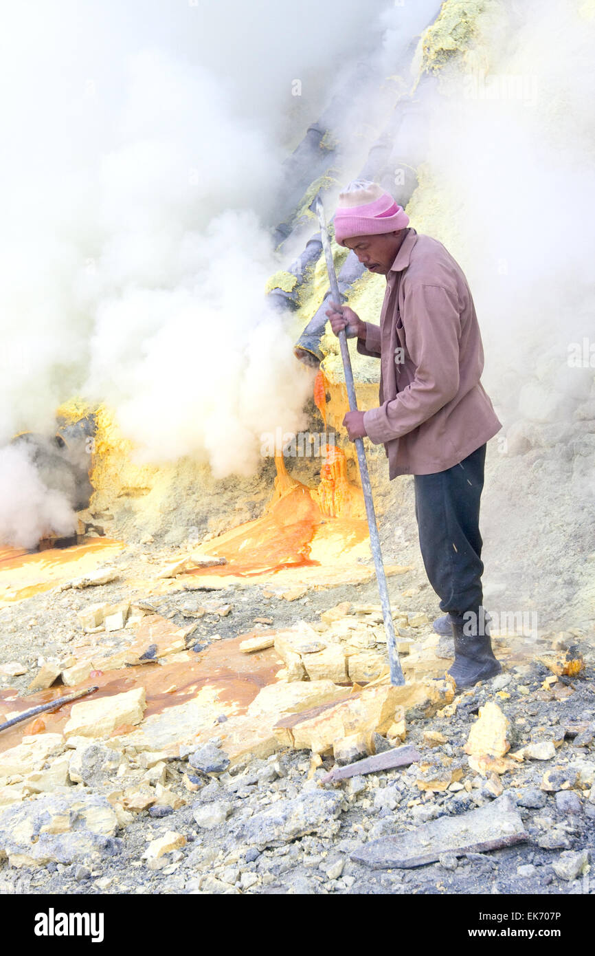 BANYUWANGI, Ost-JAVA-NOV 12: Gehärtet Schwefel Bergmann mit Metall Brecheisen aus prise Schwefel aus dem Boden zu erhebenden ein Stockfoto