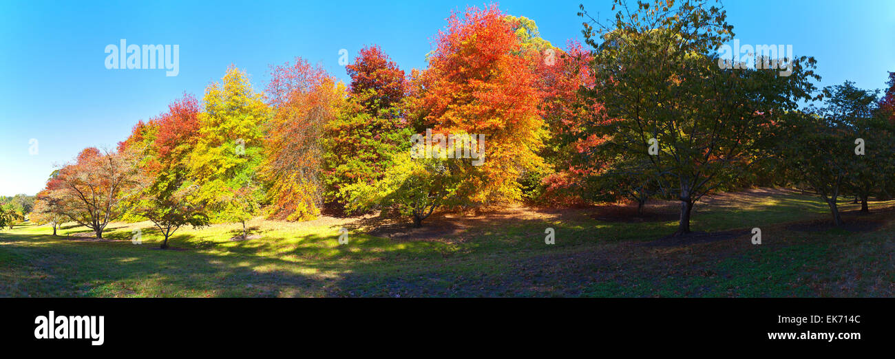 Mt hohen botanischen Garten Adelaide Hills South Australia australischen Landschaft Landschaften Herbst Stockfoto