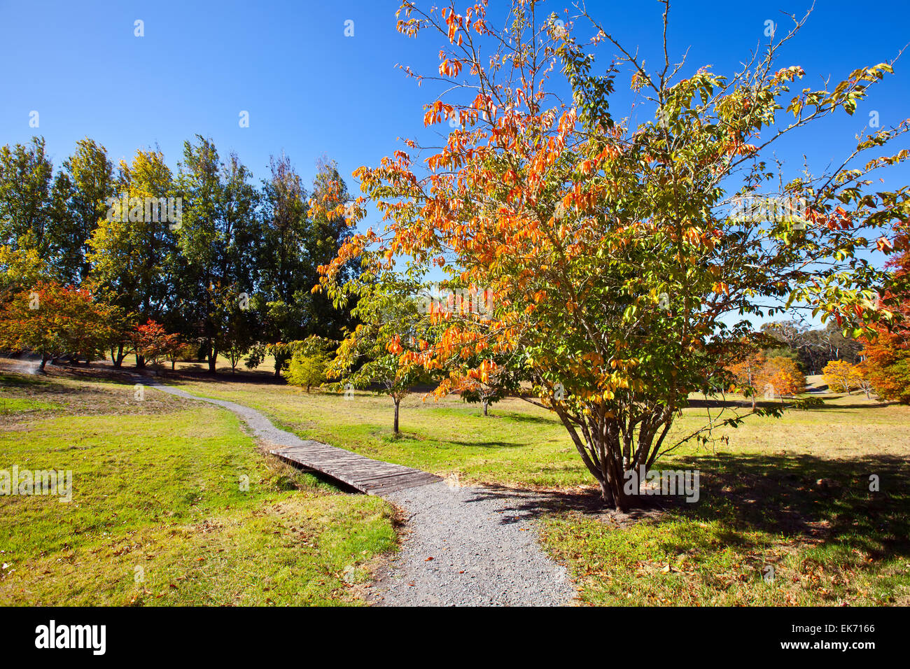 Mt hohen botanischen Garten Adelaide Hills South Australia australischen Landschaft Landschaften Herbst Stockfoto