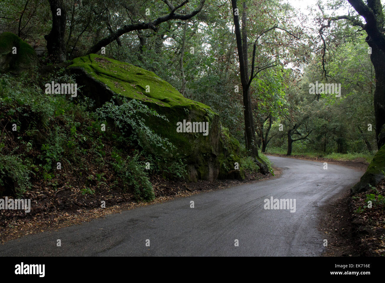 Schattigen Straße Stockfoto