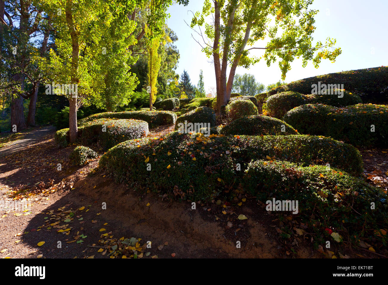 Mt hohen botanischen Garten Adelaide Hills South Australia australischen Landschaft Landschaften Herbst Stockfoto