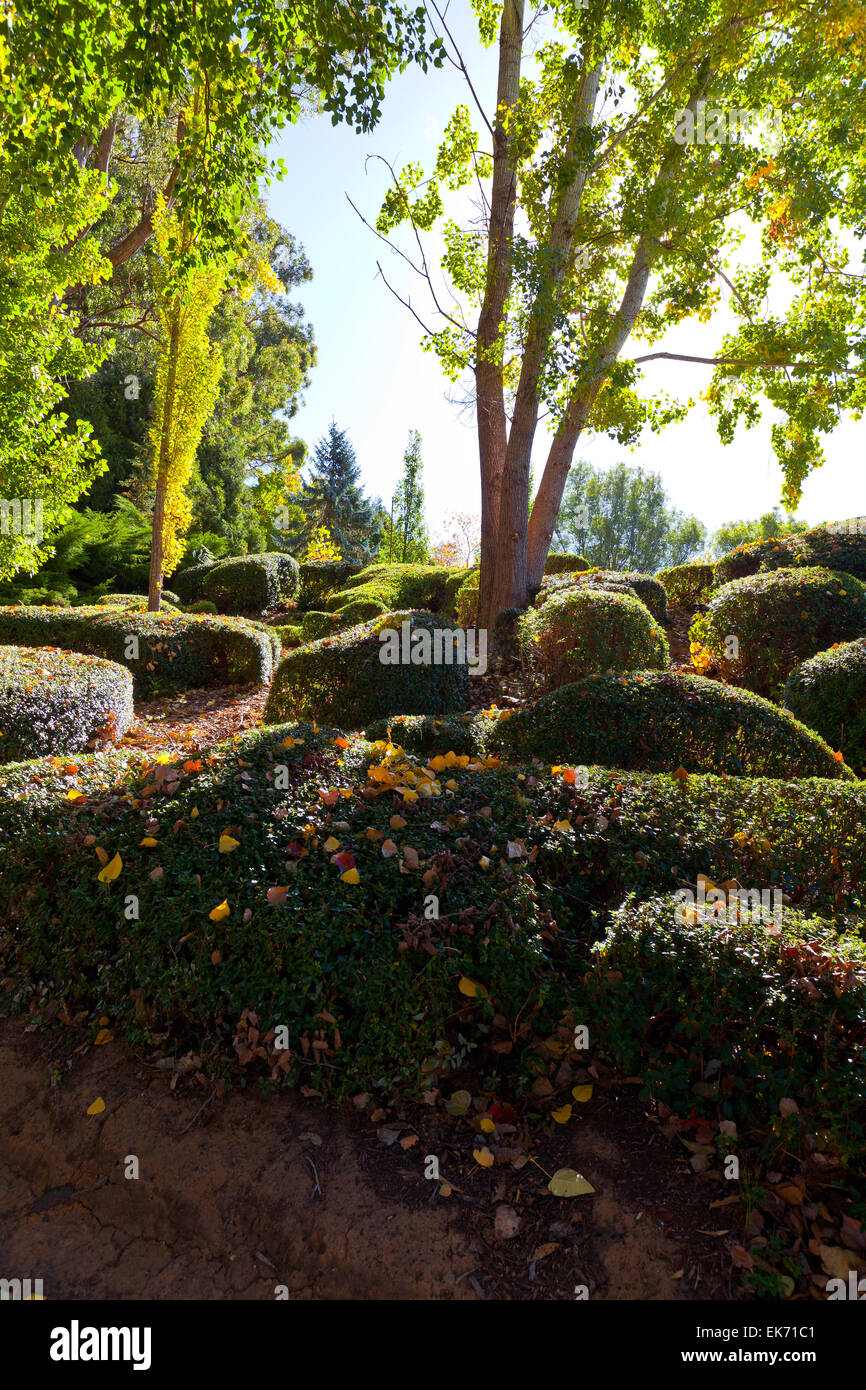 Mt hohen botanischen Garten Adelaide Hills South Australia australischen Landschaft Landschaften Herbst Stockfoto