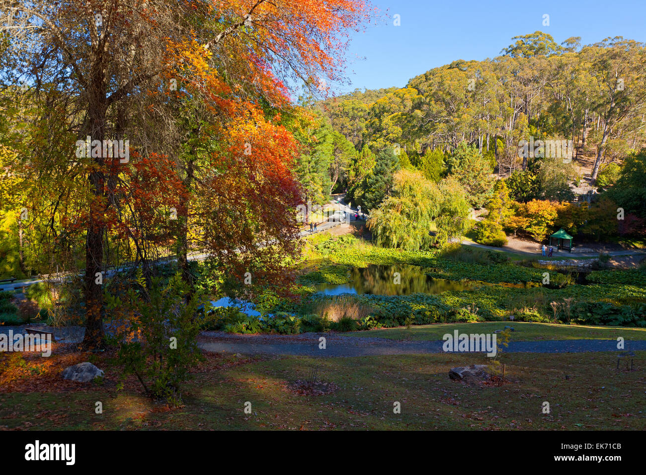 Mt hohen botanischen Garten Adelaide Hills South Australia australischen Landschaft Landschaften Herbst Stockfoto