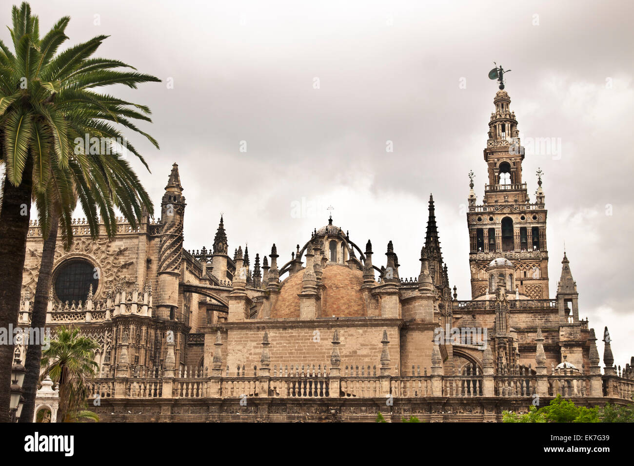 Kathedrale. Sevilla. Spanien. Stockfoto