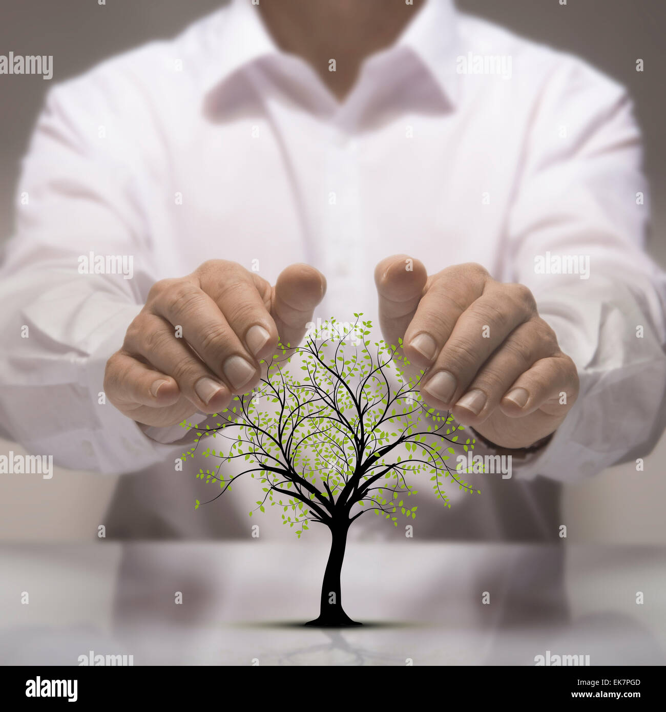 Zwei Hände über einen Baum zeichnen. Umweltschutz-Konzept Stockfoto