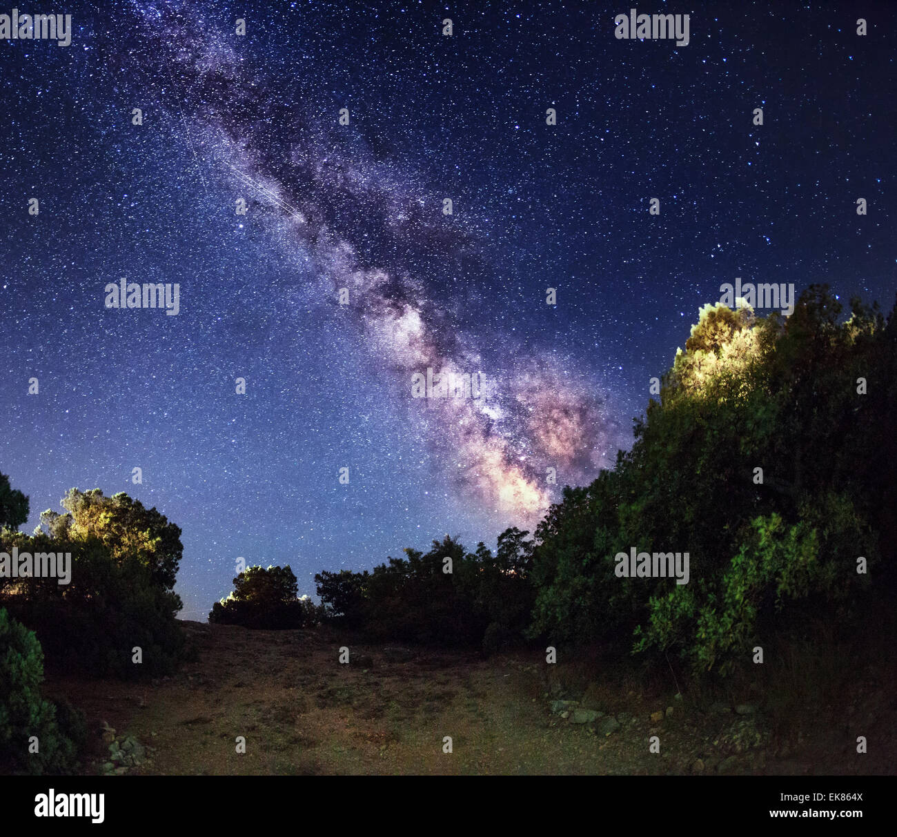 Milky Way. Schönen Sommer Nachthimmel mit Sternen im Wald. Crimea Berge Stockfoto