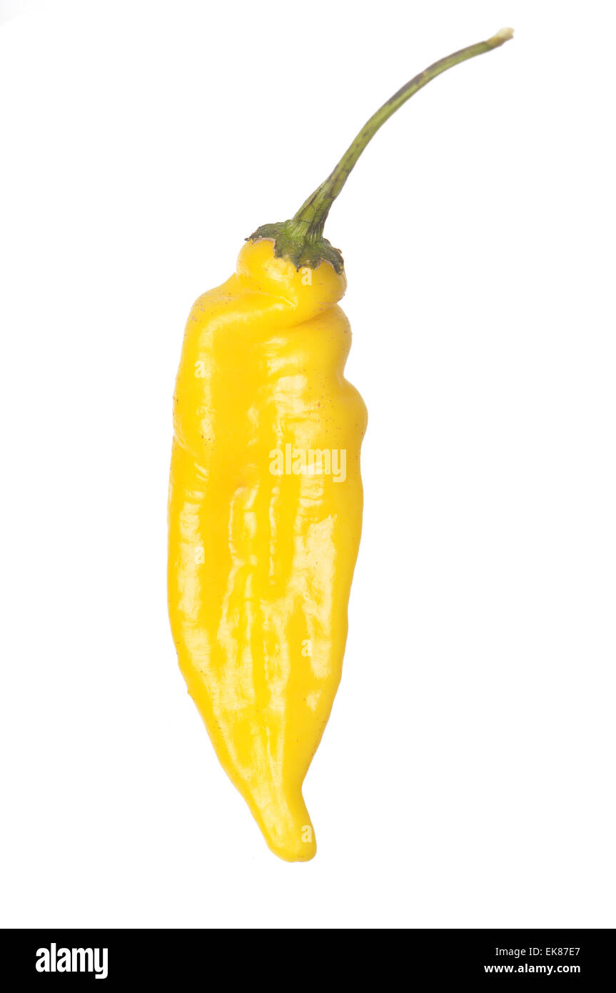 Lemon Drop Pepper isoliert Stockfoto