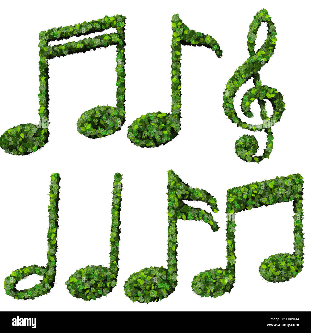 Musiknoten, Symbol aus grünen Blättern, die isoliert auf weißem Hintergrund gemacht. 3D render Stockfoto