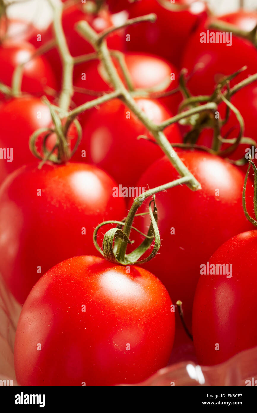 Erdbeer-Tomaten auf den Stielen Stockfoto