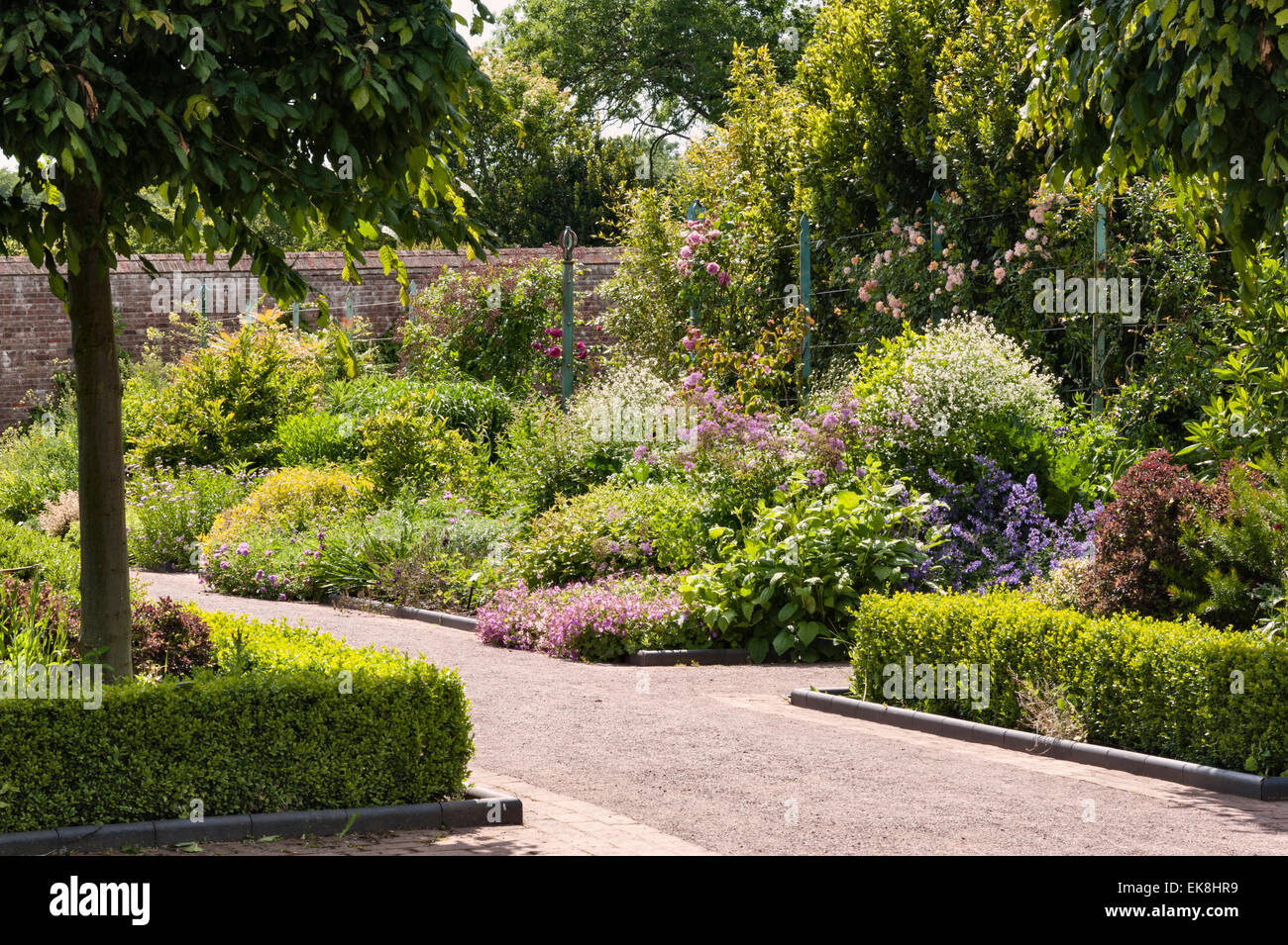 Sommer im doppelwandigen Garten im National Botanic Garden of Wales, Llanarthney, Wales, Großbritannien Stockfoto