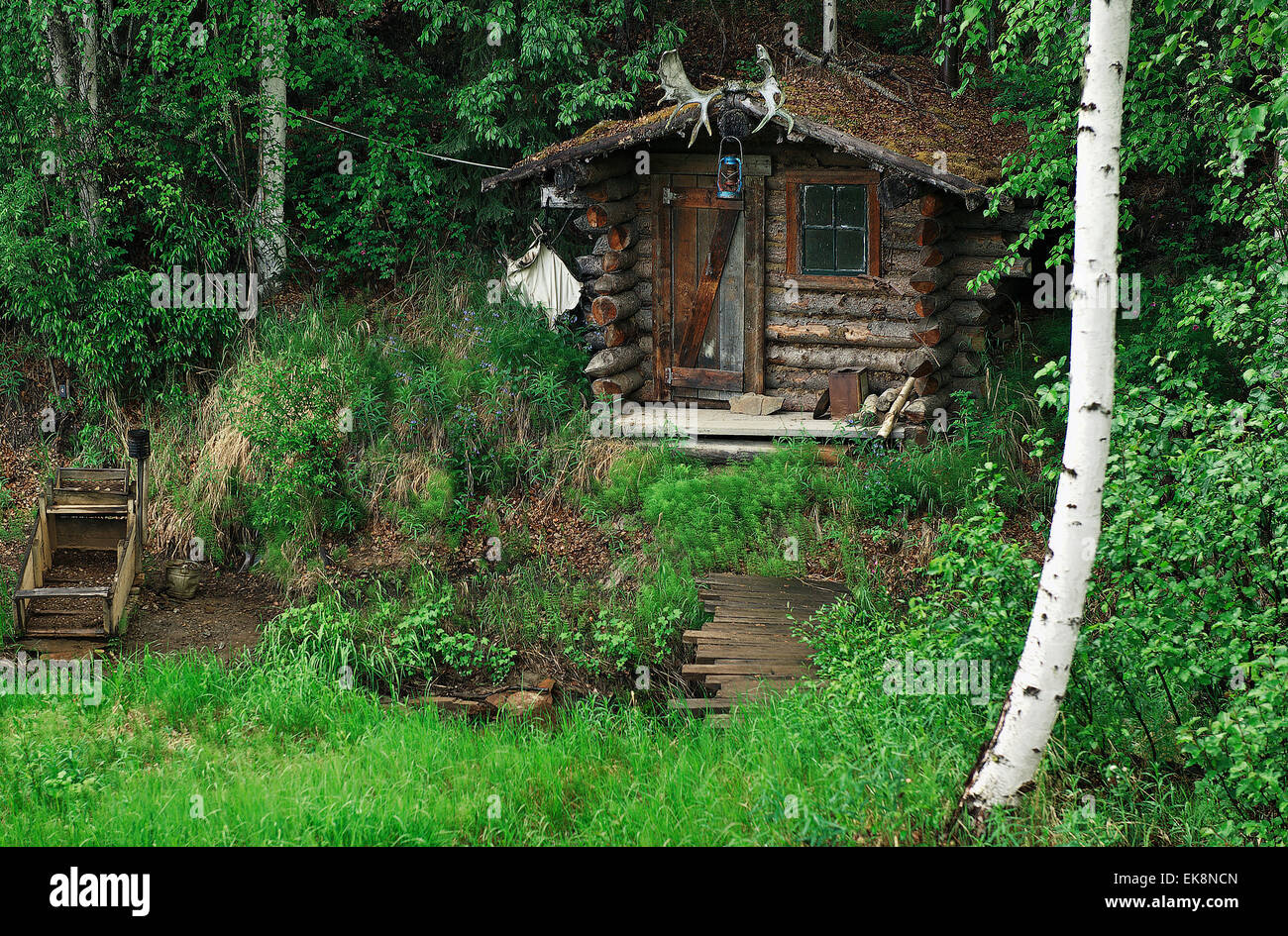Bergleute Hütte neben einem Bach, Fairbanks, Alaska, USA Stockfoto